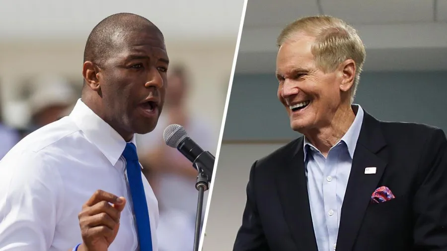 gillum-nelson.jpg